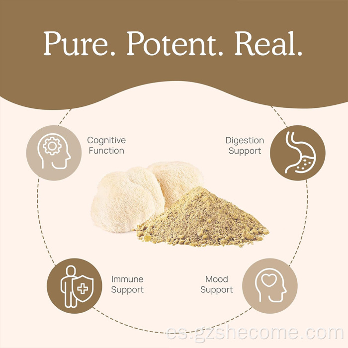 Shecome Lions Mane Capsules Apoyo al enfoque cognitivo
